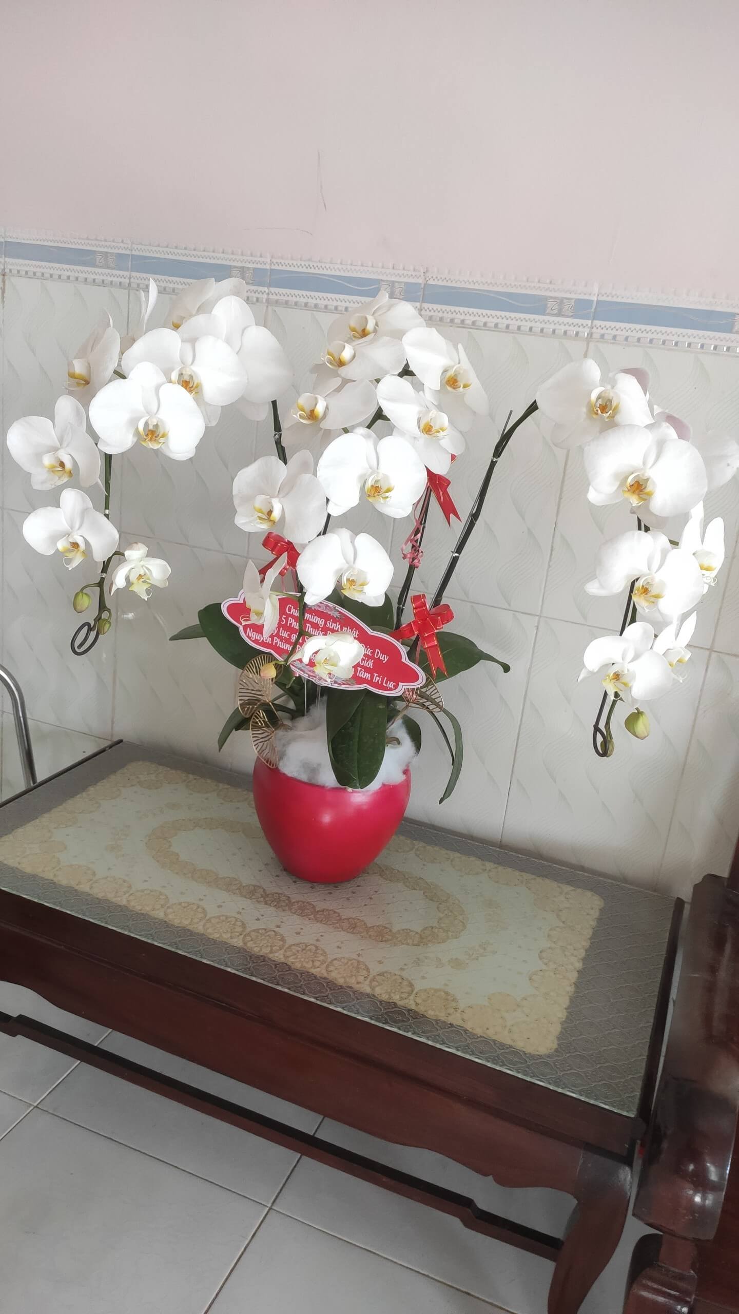 ho-diepp (1)